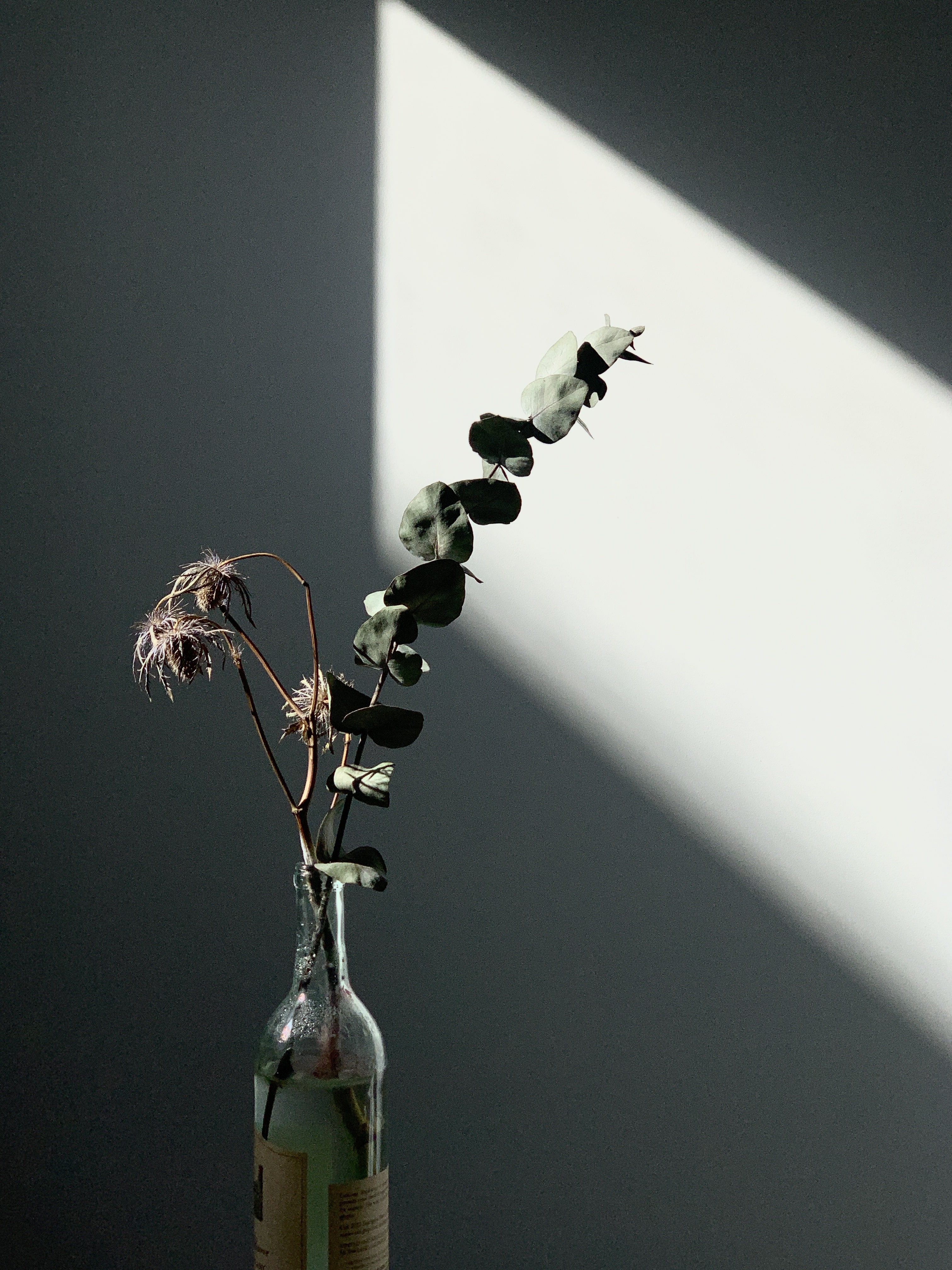 Photography 2