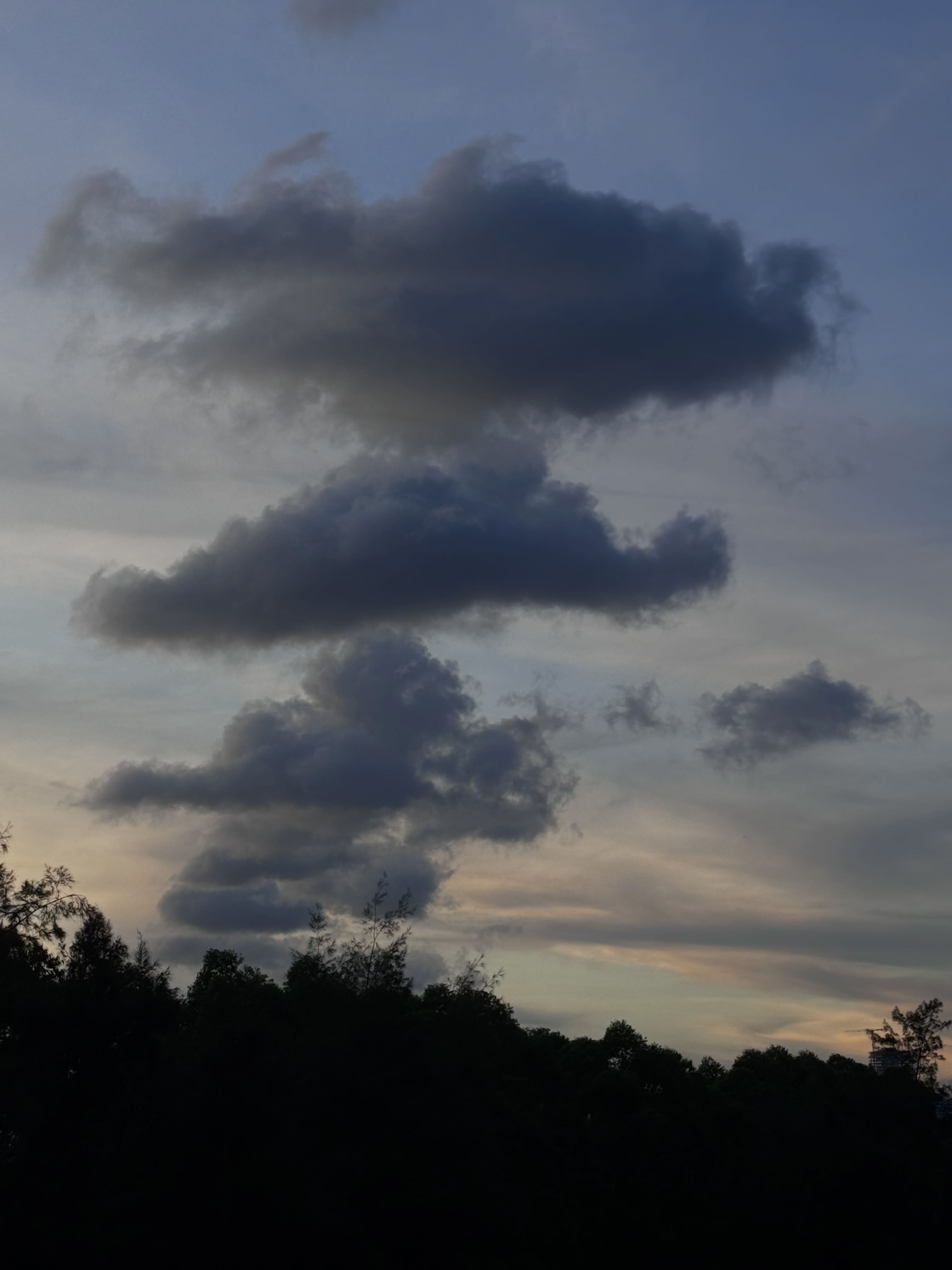 Photography 4